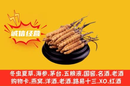 九江武宁县回收冬虫夏草